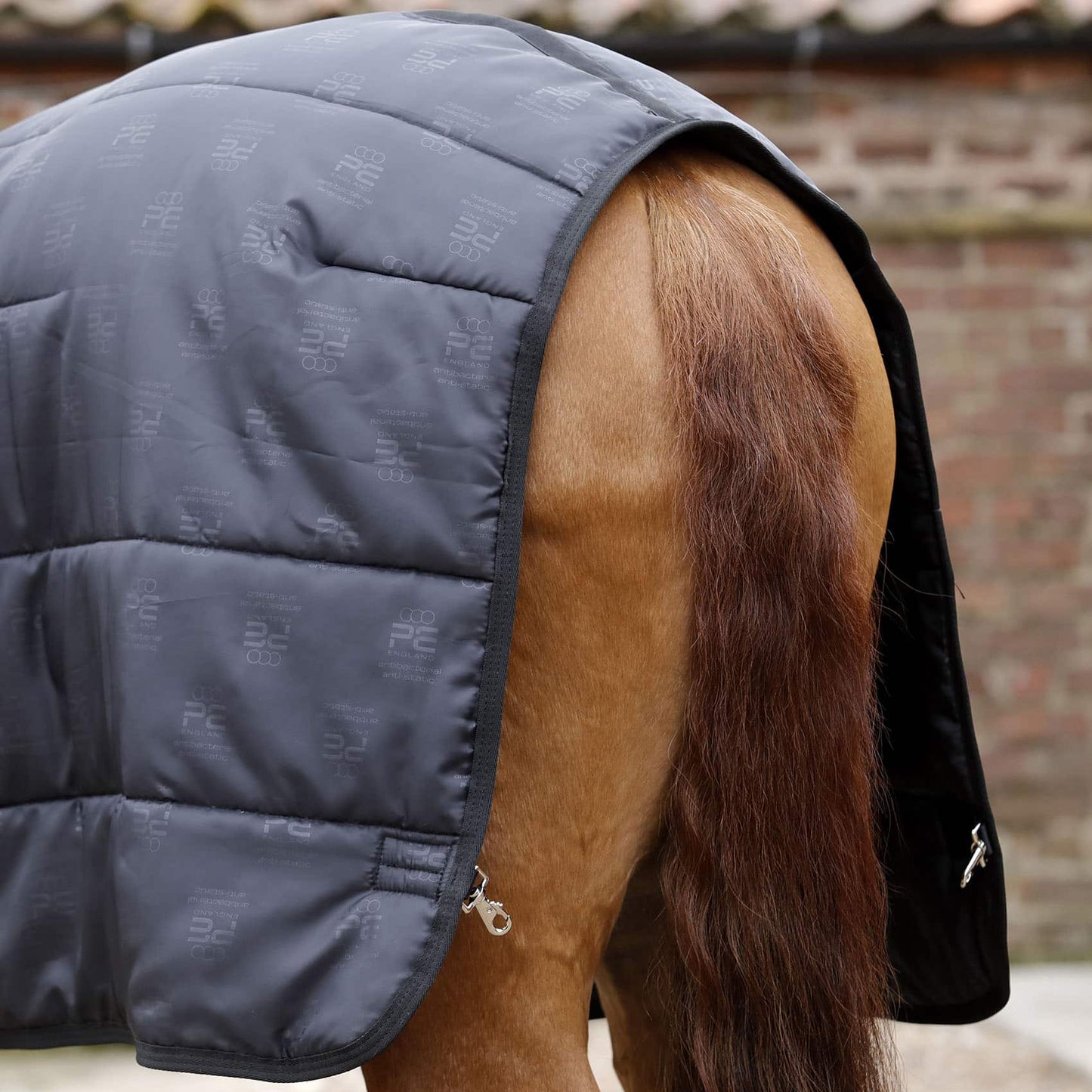 Sous-couverture Lucanta 250g – Liner chaud avec coussinets de garrot pour cheval Premier Equine