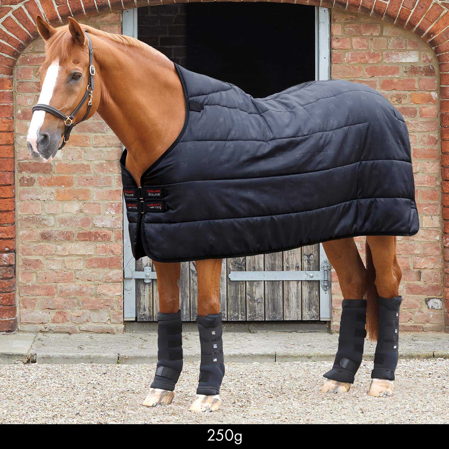 Sous-couverture Lucanta 250g – Liner chaud avec coussinets de garrot pour cheval Premier Equine