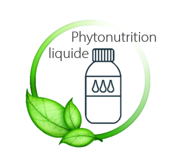 Elitoxine cheval – Détox foie et reins – Complément liquide naturel ESC