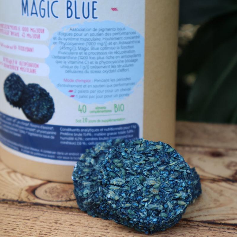 Magic Blue Cheval – Soutien Musculaire & Récupération Antioxydante – Happy Crackers
