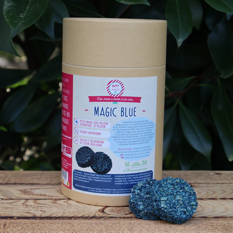 Magic Blue Cheval – Soutien Musculaire & Récupération Antioxydante – Happy Crackers
