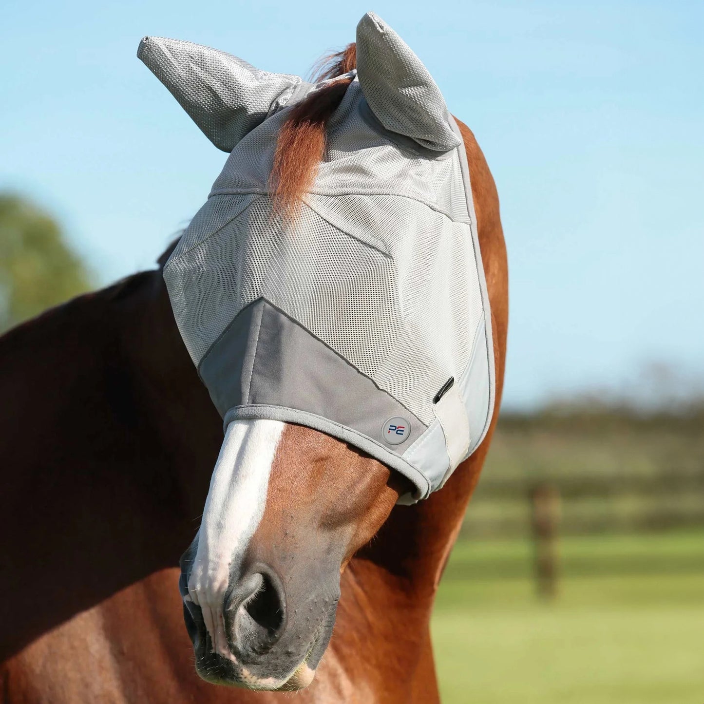 Masque Anti-Mouches Premier Equine Buster Standard + – Protection UV & Confort Anti-Insectes