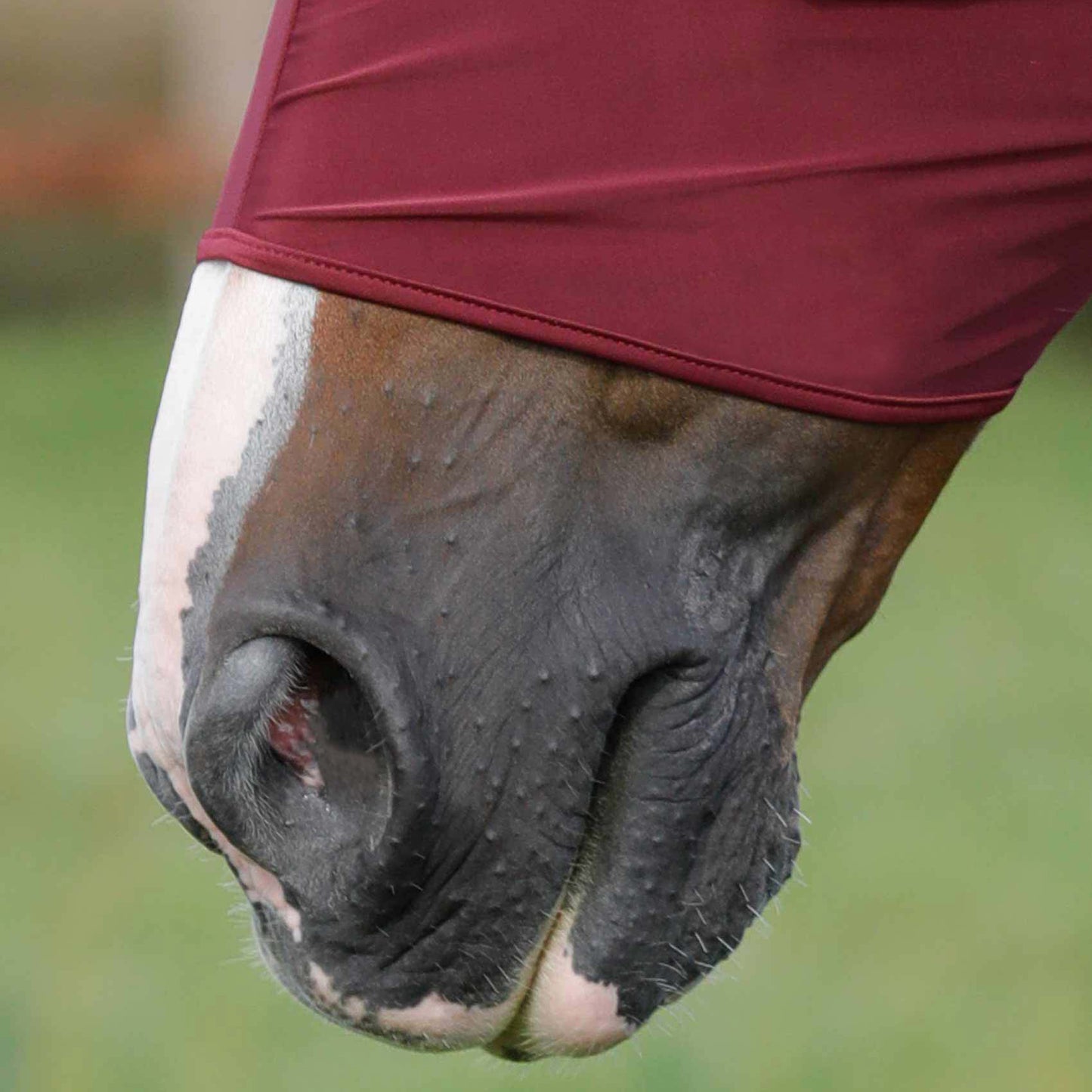 Masque Anti-Mouches Comfort Tech