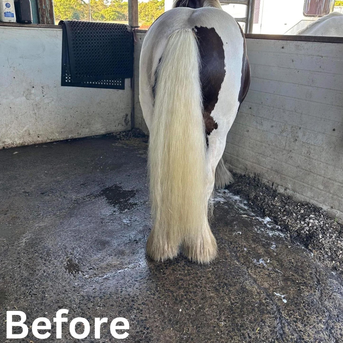 Purple Hair Repair