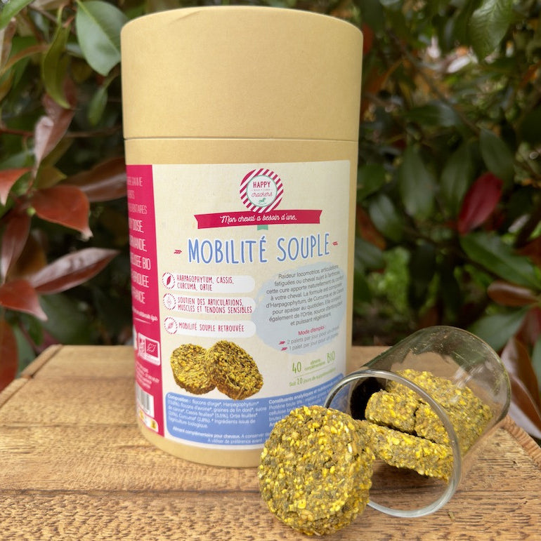 Mobilité Souple Bio pour Chevaux – Soutien Naturel des Articulations et Tendons | Happy Crackers