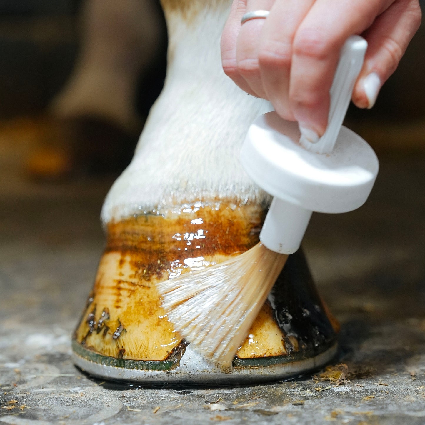 Natural’Hoof – Huile pour sabots du cheval – Natural Innov