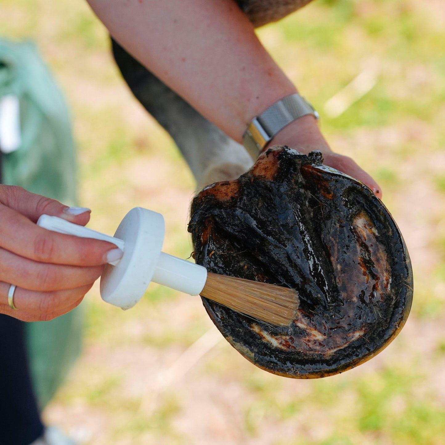 Natural’Hoof – Huile pour sabots du cheval – Natural Innov