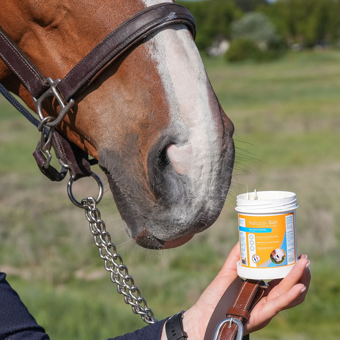 Natural’Sun – Crème solaire naturelle cheval – Natural Innov