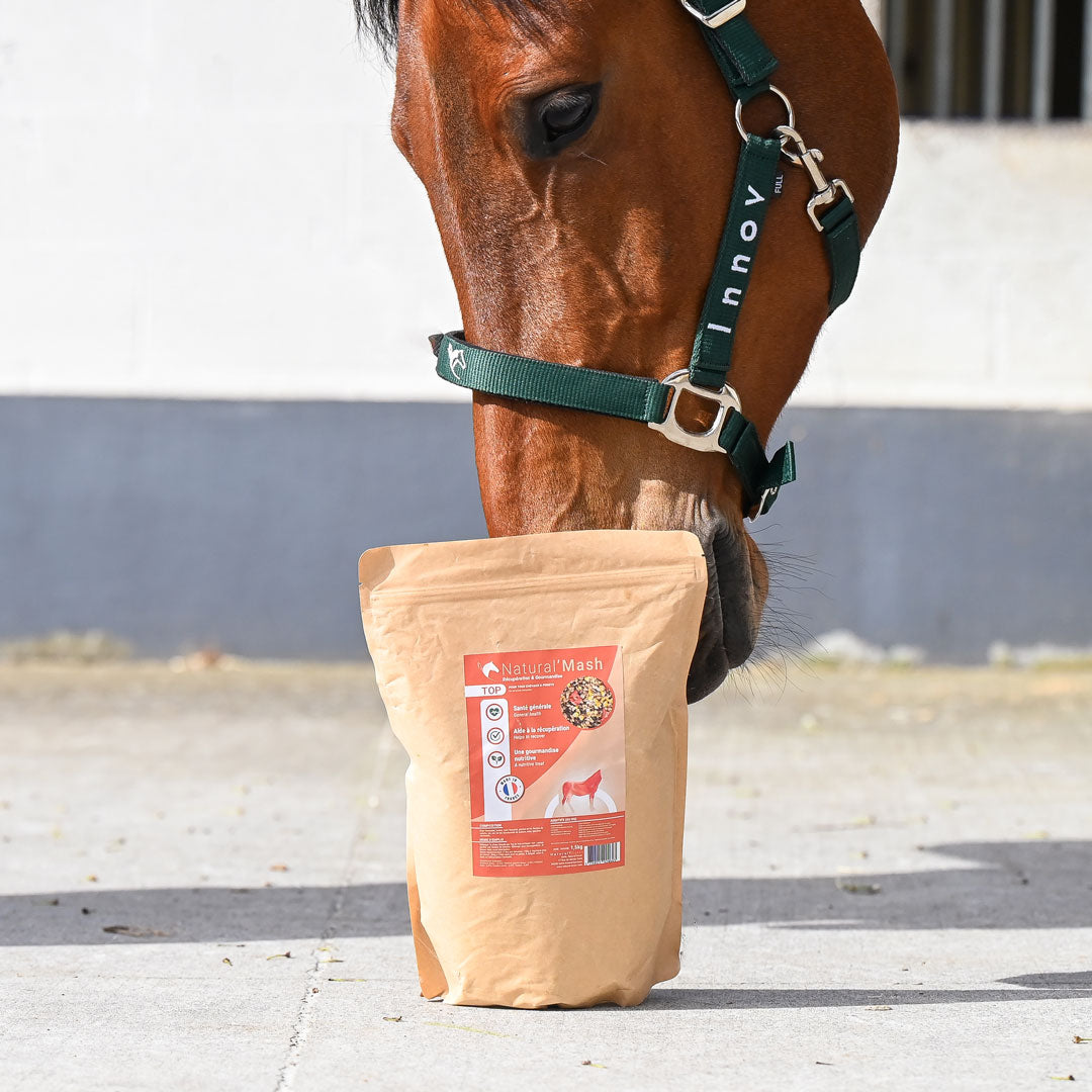 Natural'Mash Top – Mash naturel pour récupération et santé générale du cheval - Natural Innov