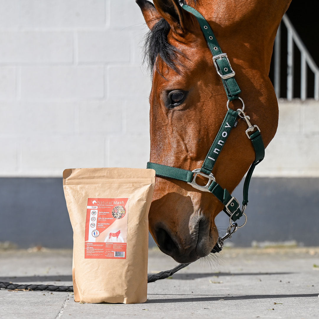 Natural'Mash Top – Mash naturel pour récupération et santé générale du cheval - Natural Innov