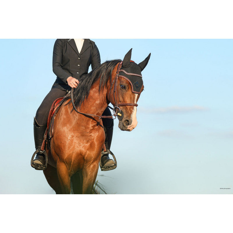 Nouvelle edition Léopard automne 2025 - Oxxer