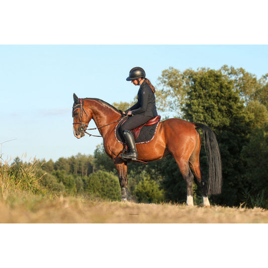 Nouvelle edition Léopard automne 2025 - Oxxer