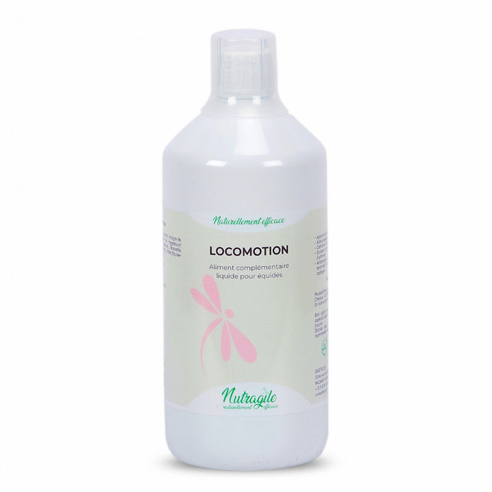 Locomotion Articulaire Cheval | Souplesse & Confort | Nutragile