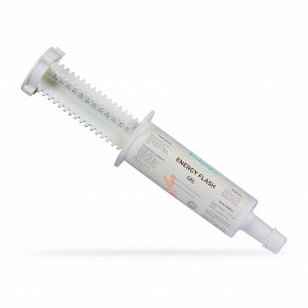 Energy Flash Seringue Vitalité & Endurance Cheval | Nutragile