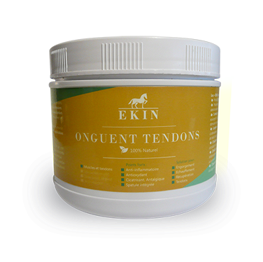 Onguent Tendons Ekin Cheval – Apaisant Muscles & Circulation