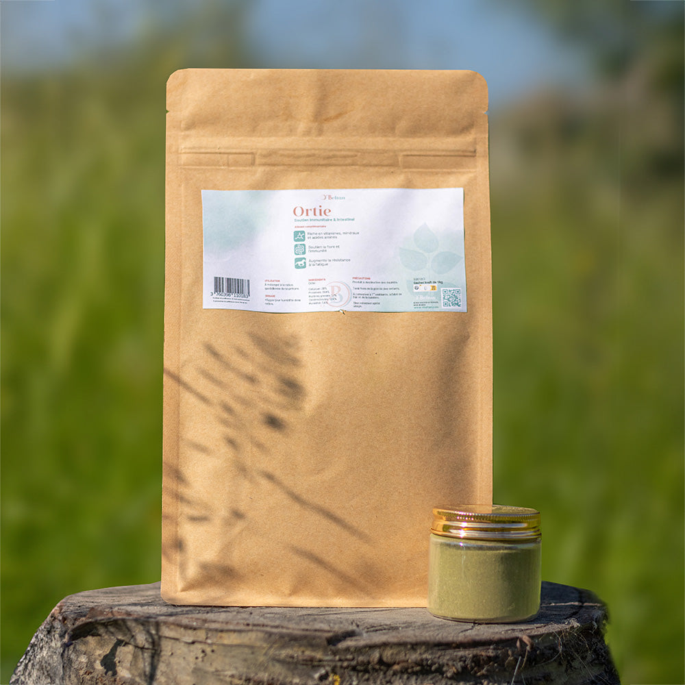 Ortie cheval – Reminéralisant naturel et drainant | O’BELTAN