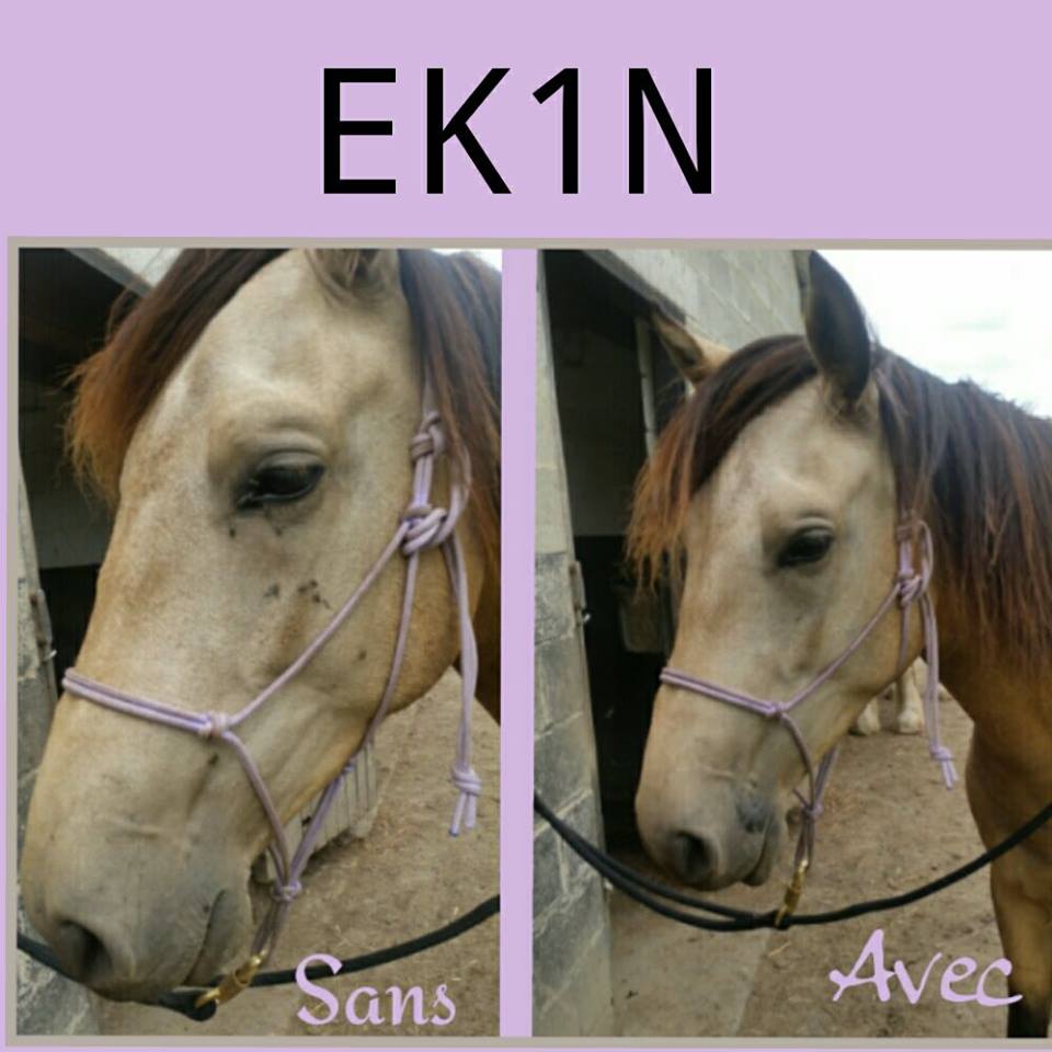 Gel d’Été Répulsif Insectes Cheval Ekin – Protection 48h Contre Piqûres