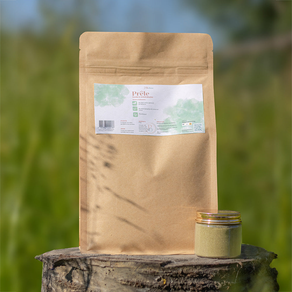 Prêle cheval – Soutien naturel des articulations et tendons | O’BELTAN