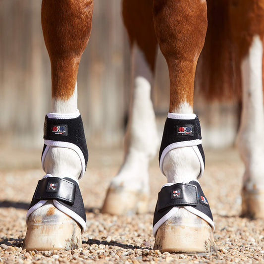 Protège-boulets Magnétiques Premier Equine Magni-Teque – Soutien et Récupération Équine