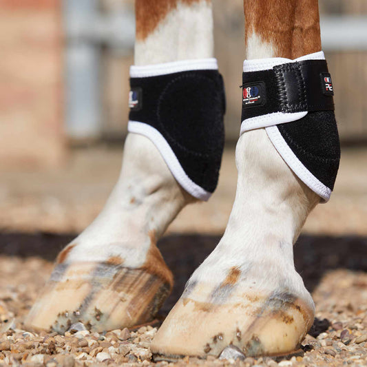 Protège-boulets Magnétiques Premier Equine Magni-Teque – Soutien et Récupération Équine