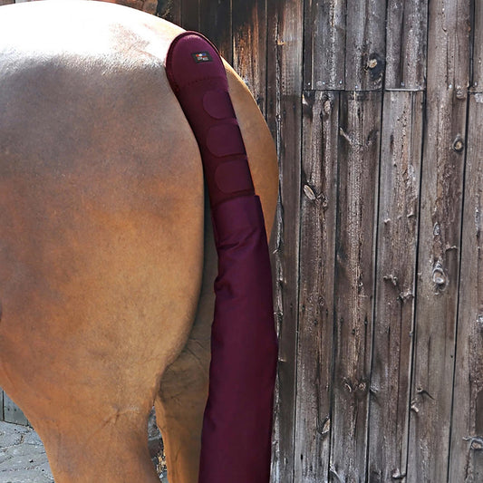 Protège-Queue Rembourré avec Sac à Queue Premier Equine – Protection Confortable en Néoprène
