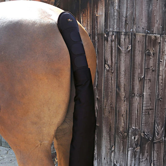Protège-Queue Rembourré avec Sac à Queue Premier Equine – Protection Confortable en Néoprène