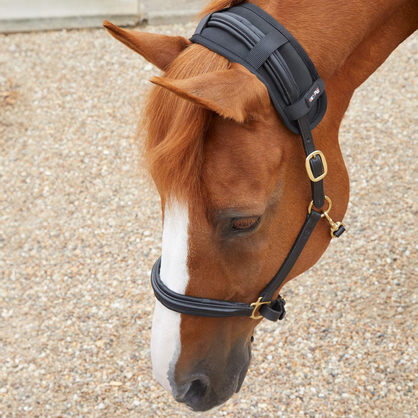Protège Nuque Magnétique Premier Equine Magni-Teque – Confort et Relaxation Équine