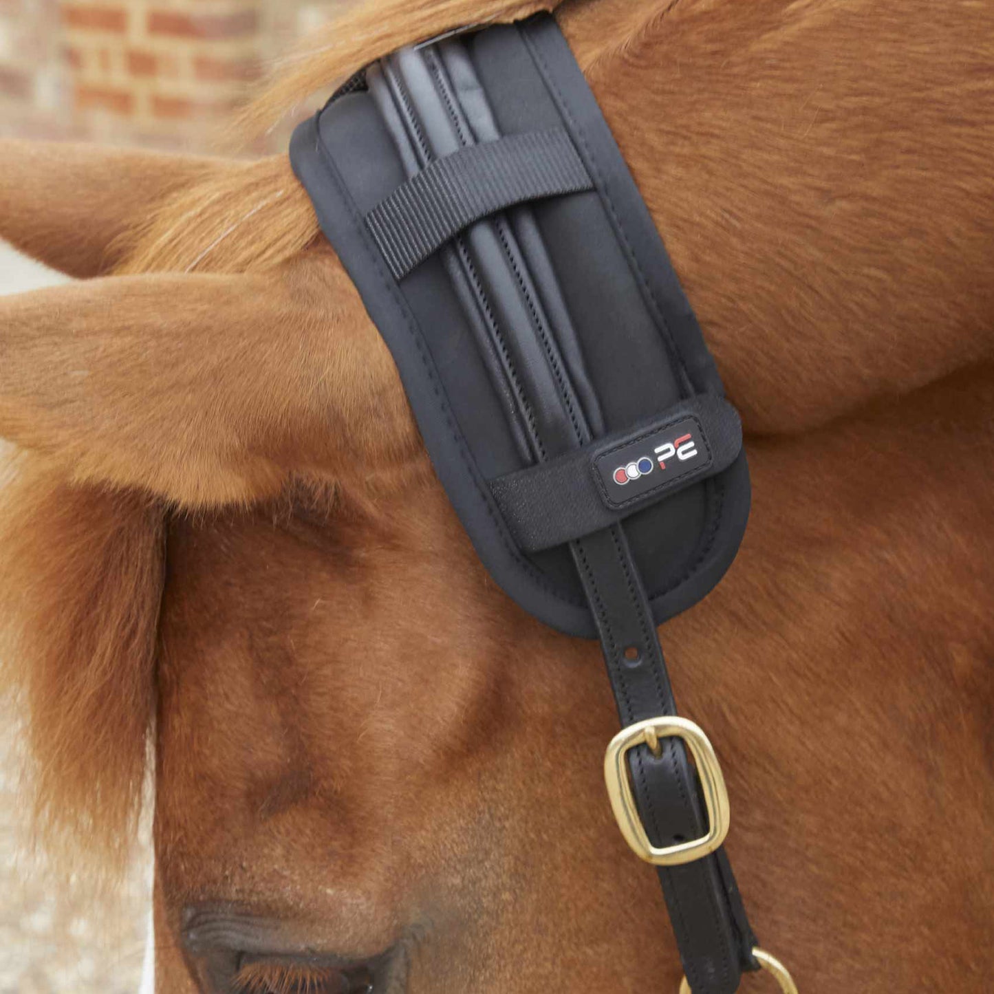 Protège Nuque Magnétique Premier Equine Magni-Teque – Confort et Relaxation Équine