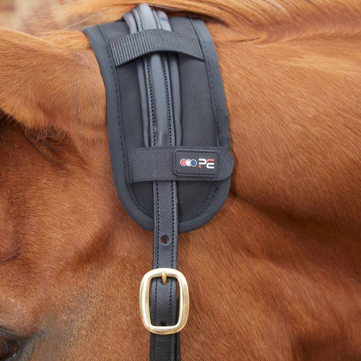 Protège Nuque Magnétique Premier Equine Magni-Teque – Confort et Relaxation Équine