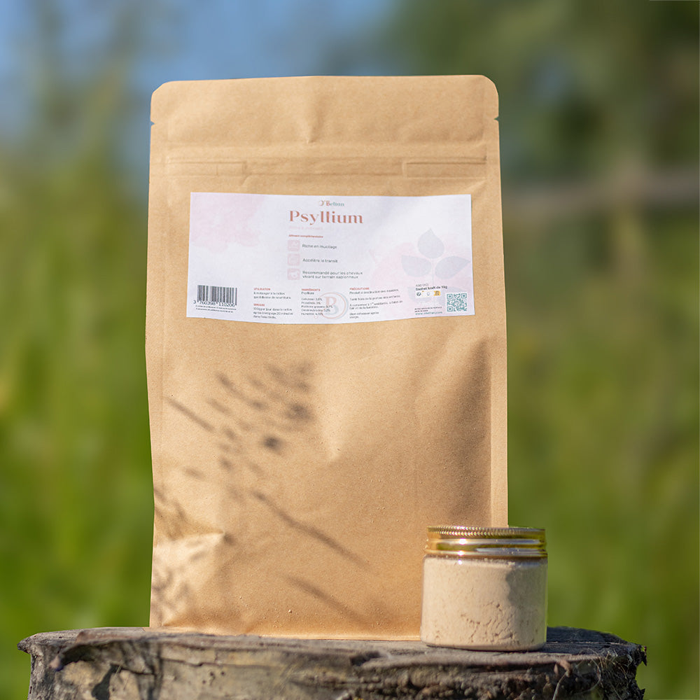 Psyllium cheval – Transit intestinal naturel et prévention du sable | O’BELTAN
