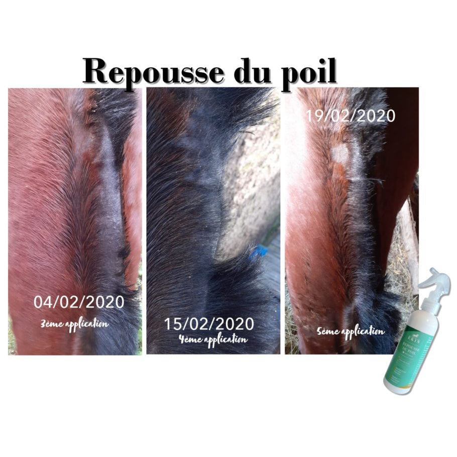 Repousse du Poil EKIN – Accélère la Repousse & Répare les Zones de Frottement