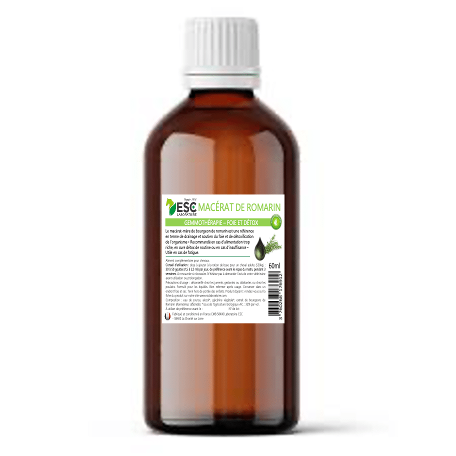 Macérat de bourgeon de Romarin cheval – Gemmothérapie détox et foie – ESC