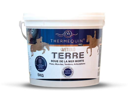 Terre – Boue Mer Morte cheval récupération | Thermequin