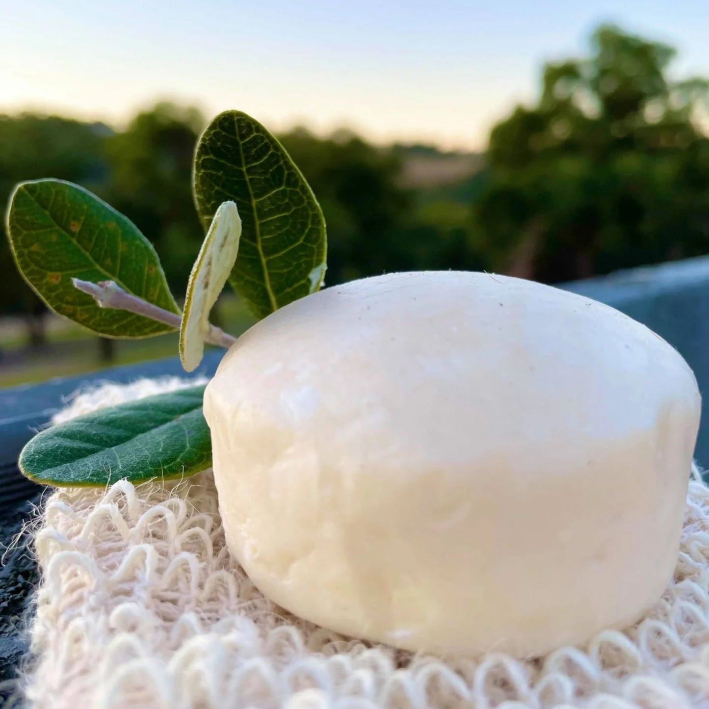 Savon Originale Éco-Responsable