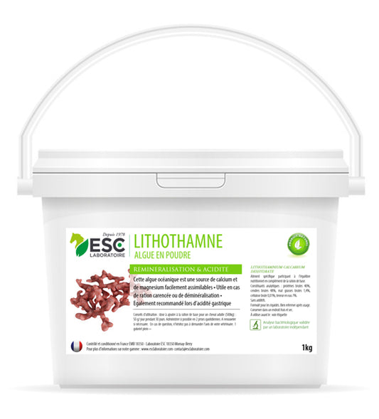 Lithothamne – Algue reminéralisante pour cheval | Réduit l’acidité gastrique ESC