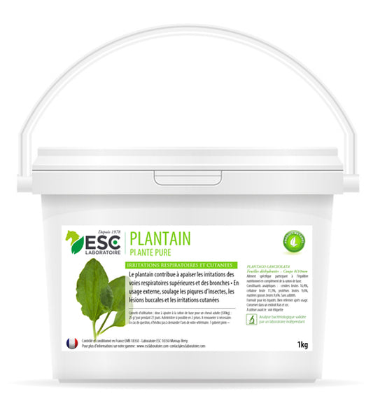 Plantain Cheval ESC – Respiration & Irritations Cutanées – Plante Pure