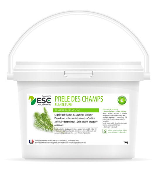 Prêle des champs cheval – Renforcement articulations et reminéralisation - ESC
