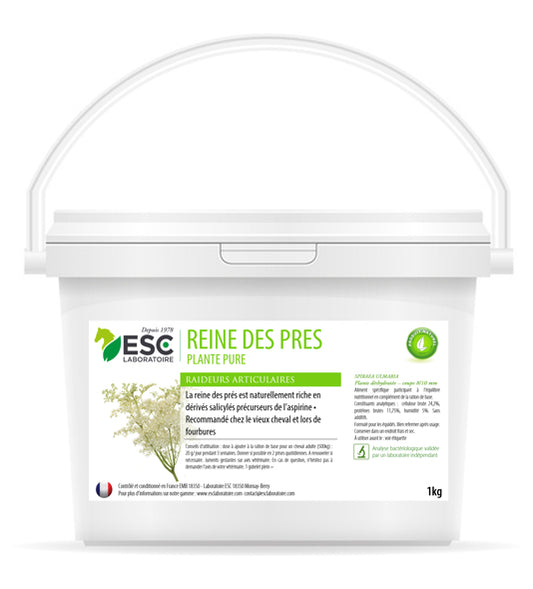 Reine des Prés – Plante Pure pour Raideurs et Inconfort Articulaire Cheval - ESC