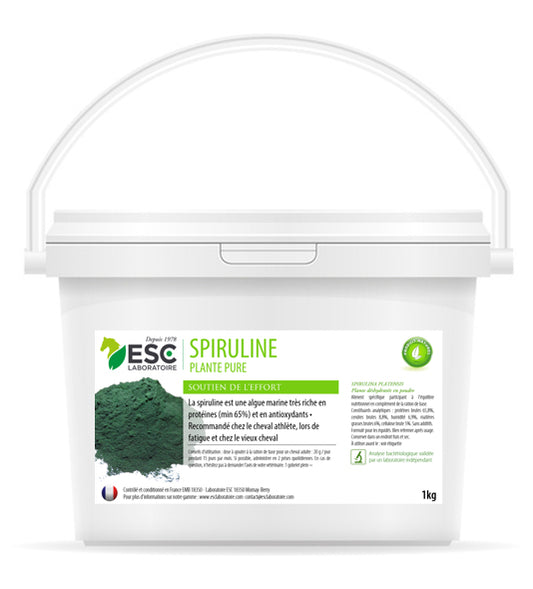 Spiruline pure – Renfort protéines & énergie pour cheval fatigué - ESC