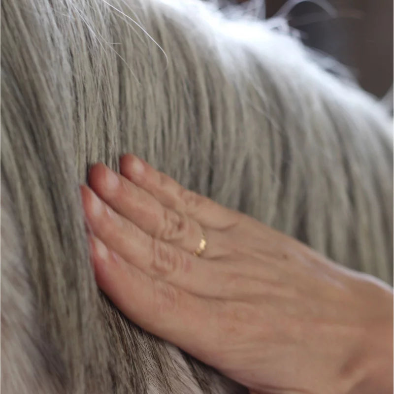 Sérum Sublime Crins - Soin naturel nourrissant pour les crins du cheval - Nellumbo