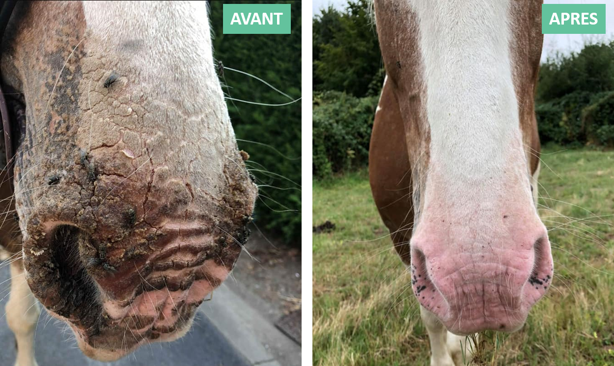 Protection Solaire EKIN – Protection Waterproof Anti-Coup de Soleil