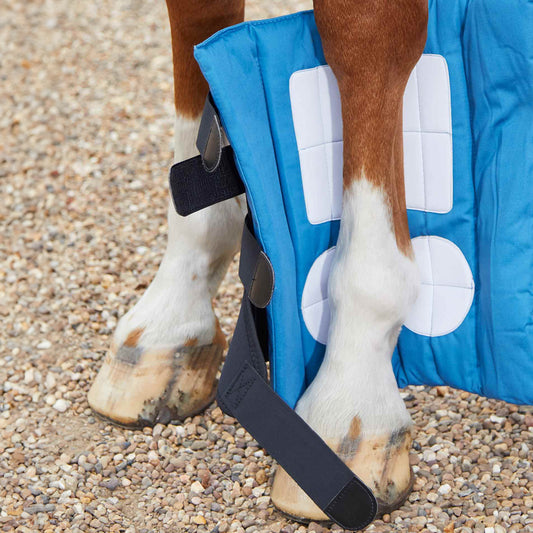 Sous-couches Magnétiques Premier Equine Magni-Teque – Thérapie et Récupération Équine