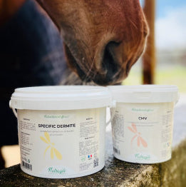 Specific Dermite – Dermite estivale cheval | Nutragile