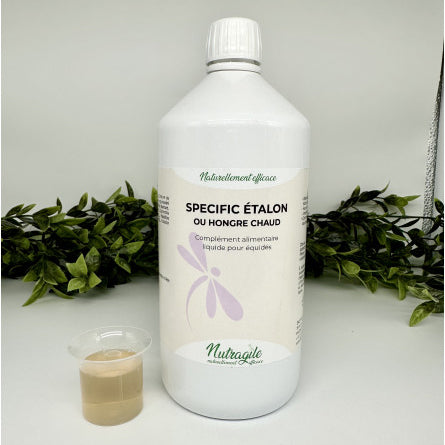 Specific Étalon – Calme, Tensions & Comportement | Nutragile