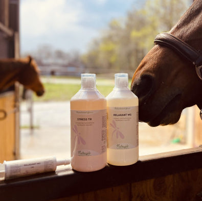 Stress TR Liquide Cheval – Anti-stress naturel au Tryptophane | Nutragile