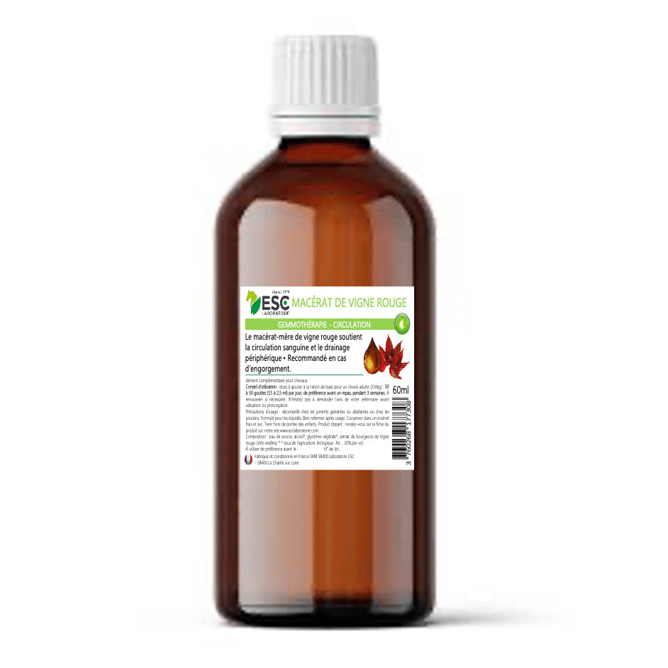 Macérat de bourgeon de vigne rouge cheval – Engorgement & circulation veineuse - ESC