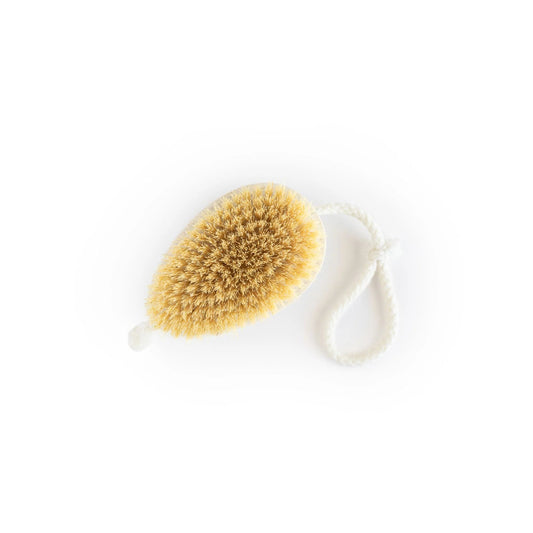 Brosse de lavage