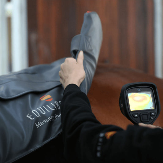 Tapis de Massage Chauffant Equilibrium – Relaxation dos cheval