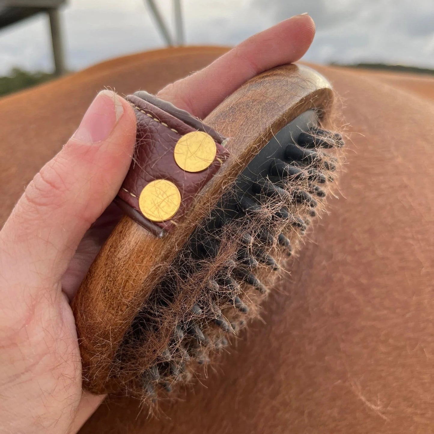 Brosse de massage en caoutchouc