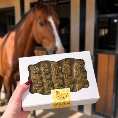 Coffret 5 Eclairs Sport - Banane et Ortie - Equinatbio